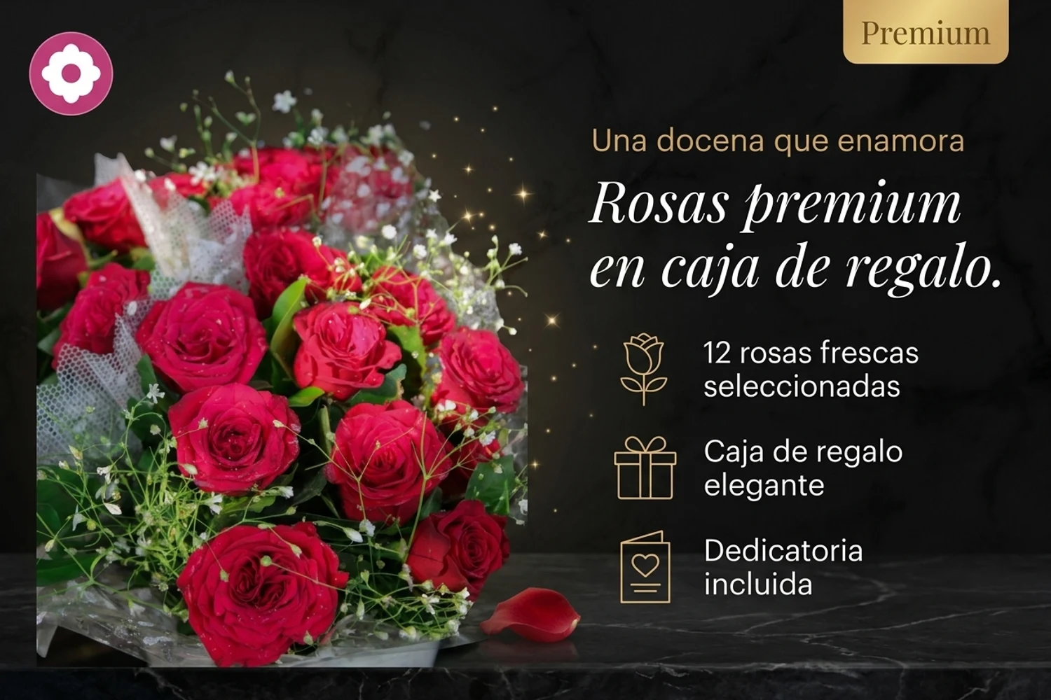 Arte Studio: docena premium, estilo elegante